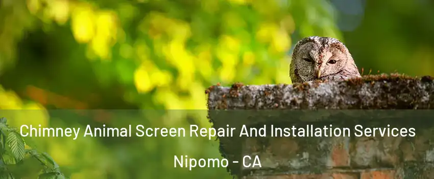  Chimney Animal Screen Repair And Installation Services Nipomo - CA
