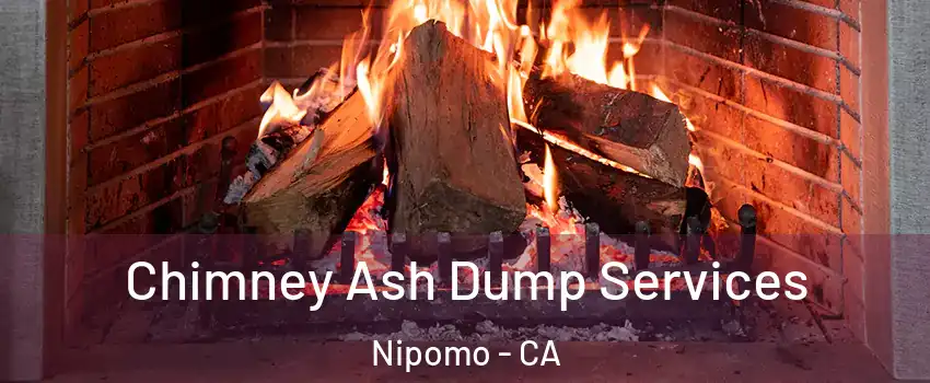  Chimney Ash Dump Services Nipomo - CA