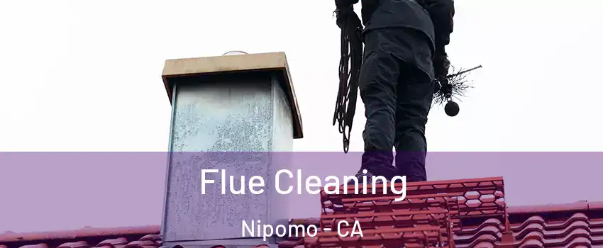  Flue Cleaning Nipomo - CA