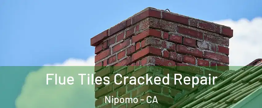  Flue Tiles Cracked Repair Nipomo - CA