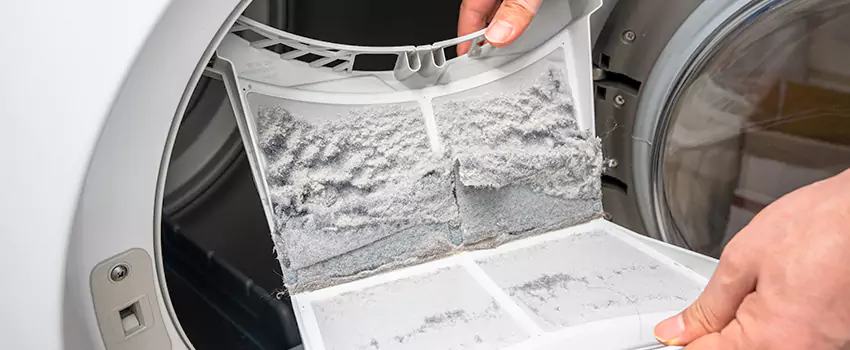 Best Dryer Lint Removal Company in Nipomo, California
