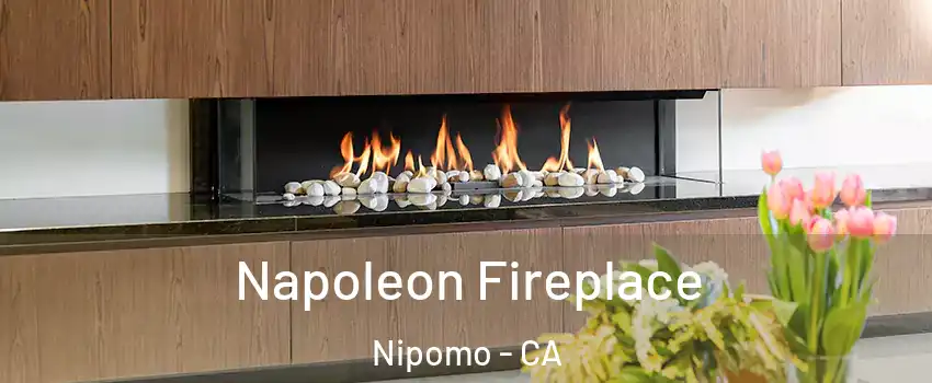  Napoleon Fireplace Nipomo - CA